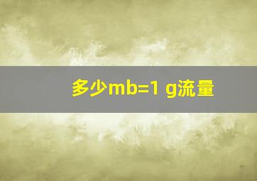 多少mb=1 g流量